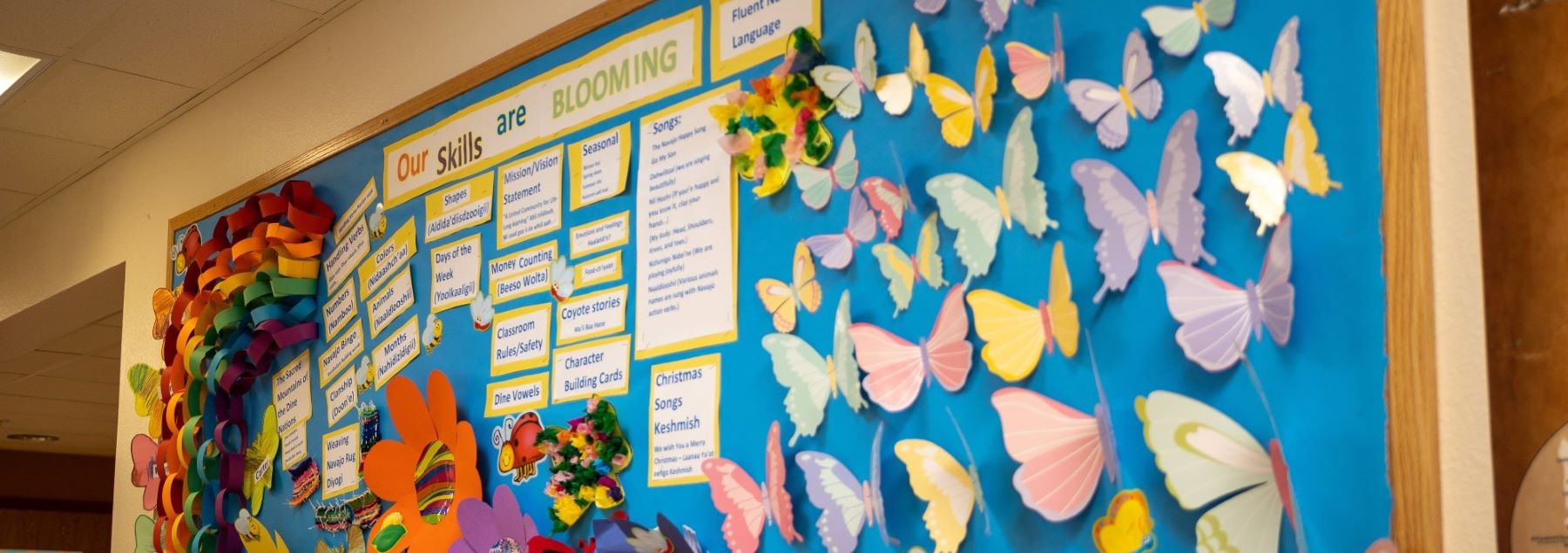 A bright school bulletin board filled with colorful butterflies and a sign that says our skills are blooming, creating a fun and lively atmosphere for students.