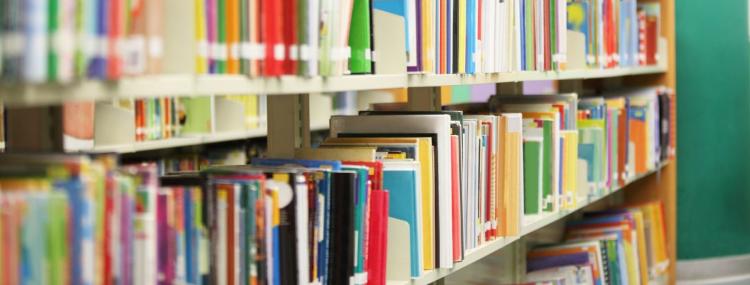 shelves filled with library books